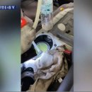 고향주유소 이미지
