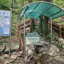 [백패킹] 경기도 양평군 용문면 용문산