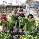 평천초교 이미지