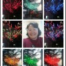 삼거리매운탕 이미지