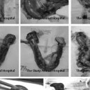 더샵동물메디컬센터 이미지