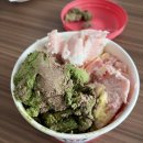 베스킨라빈스 31 베라 신메뉴 이달의 맛 봄날의 곰 후기