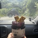 별마로빌리지민박 | [영월] 캠린이들, 별마로빌리지에서 1박2일 캠핑하기 (정보 O)