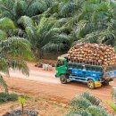 김재형농장 이미지