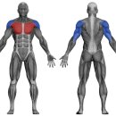 하이핏짐 이미지