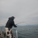 나사블루윙피싱 이미지