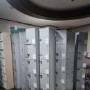 양덕 비엘 | 비엘짐 포항 최대 규모 최고의 장비 보유한 헬스장 비엘짐창포점 방문 후기(이태리 명품 파나타 머신)