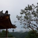 강변애 이미지