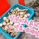 지에스25 태안마검포점