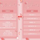 션포토그라피 | 가성비 본식 스냅 DVD 올바른스냅 짝궁코드 및 계약 후기