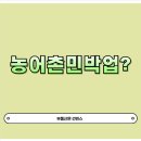 빈스민박 이미지