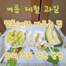 개깎는중 | 멜론 자르는법 메론 자르기 참외 껍질 깎는 방법