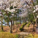 동양근린공원 네이버블로그