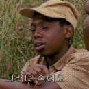 김밥한입 이미지