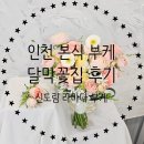 [W.44] 촬영용 부케와 본식 부케 맛집으로 추천하는 인천 달막공방 후기