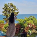하운드 리조트 경주감포 | 경주 감포 숙소 더킹풀빌라 가족 독채 펜션 오션뷰 힐링 후기