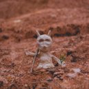 옥주곡물 이미지