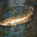 진가초등학교 이미지