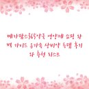 복현 가까운약국 | 메가팜스365약국 영양제 쇼핑 완벽 가이드 온가족 상비약 득템 후기와 추천 리스트