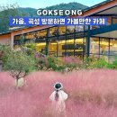 압록 | 가을, 섬진강 뷰와 핑크뮬리가 예쁜 곡성 카페, 압록