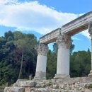 행정사 다인 이미지