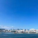 삼천리자전거호반자전거 | [ D-Day ] 부산 영도 철인 3종 경기 스프린트 완주 후기 🏊🏾‍♂️🚴🏾‍♂️🏃🏾‍♂️