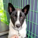 동해대로 이미지