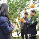완도 청춘이네