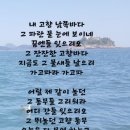 파  곡 이미지
