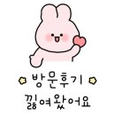 유니헤어테크 - 남양주시 | 유니헤어테크