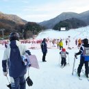 무주덕유산리조트산림욕장 네이버블로그