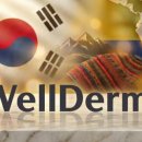 우린특허법률사무소