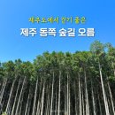 평화의광장 군산 | 한눈에 보는 걷기·러닝 2026년2월22일