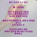 봄은 서서히 오고 있다 이미지