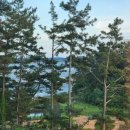 힐링 뷰 하우스 이미지