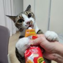 성일테크 이미지
