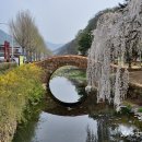 창녕보건진료소 이미지