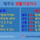 제주 주말날씨 브리핑! (2월 4일, 5일) - 2월 2일 11시 작성 이미지