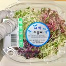 새싹마트 이미지