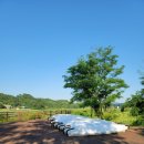 솔밭매점 이미지