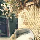 파로스펜션 이미지