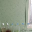 사니조아 이미지