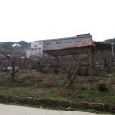 감나무집 불한증막 이미지