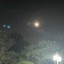청와대 무료공연 k-뮤직페스티벌 장민호 이무진 바다 효연 관람후기