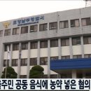 도전화학