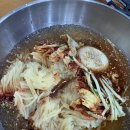 우향 | 김해세무서 맛집 우향 육전 밀면 물비빔 후기 내돈내산