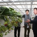 호남 스마트 팜 이미지