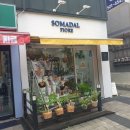 석삼말로2 이미지