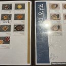 봉구통닭간석 이미지