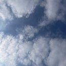 보정꿈에그린작은도서관 | 중세 추리 소설에 입문하기.